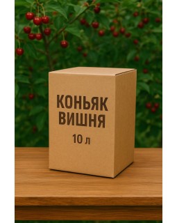 Коньяк Молдова Вишня 10 літрів